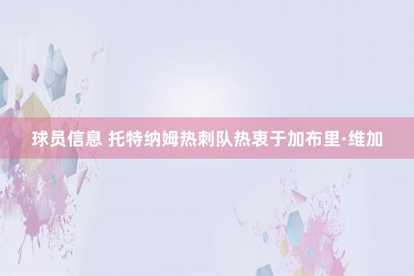 球员信息 托特纳姆热刺队热衷于加布里·维加