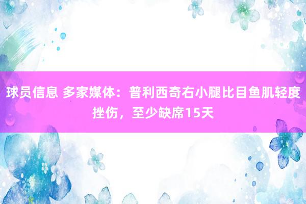 球员信息 多家媒体：普利西奇右小腿比目鱼肌轻度挫伤，至少缺席15天