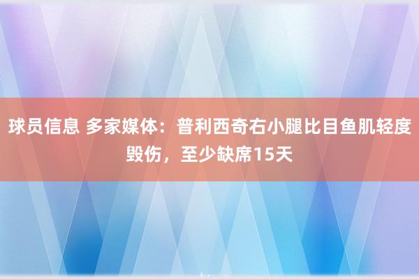 球员信息 多家媒体：普利西奇右小腿比目鱼肌轻度毁伤，至少缺席15天