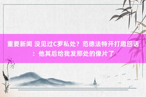 重要新闻 没见过C罗私处？范德法特开打趣回话：他其后给我发那处的像片了