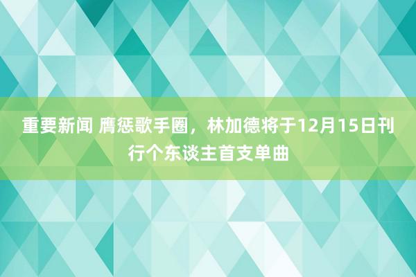 重要新闻 膺惩歌手圈，林加德将于12月15日刊行个东谈主首支单曲