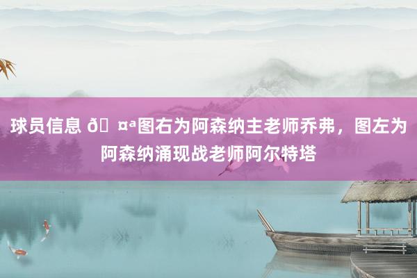 球员信息 🤪图右为阿森纳主老师乔弗，图左为阿森纳涌现战老师阿尔特塔