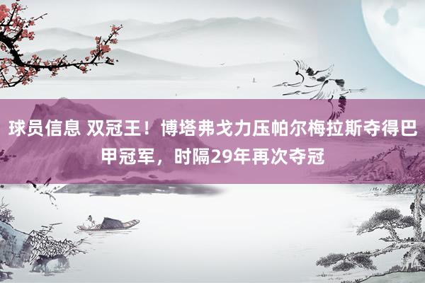 球员信息 双冠王！博塔弗戈力压帕尔梅拉斯夺得巴甲冠军，时隔29年再次夺冠