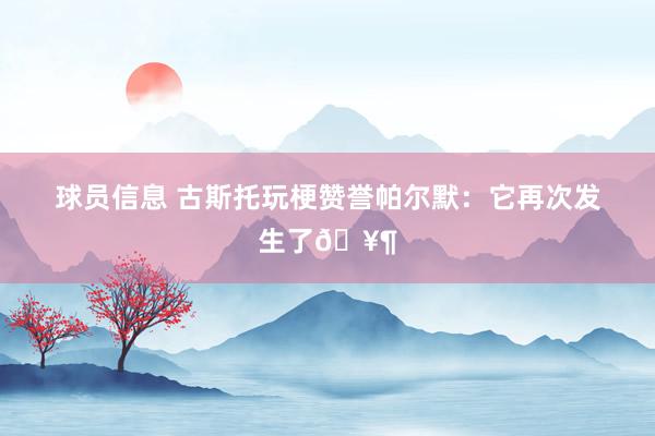 球员信息 古斯托玩梗赞誉帕尔默：它再次发生了🥶