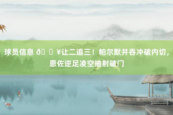 球员信息 💥让二追三！帕尔默并吞冲破内切，恩佐逆足凌空抽射破门