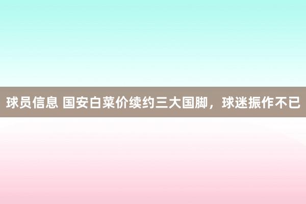 球员信息 国安白菜价续约三大国脚，球迷振作不已