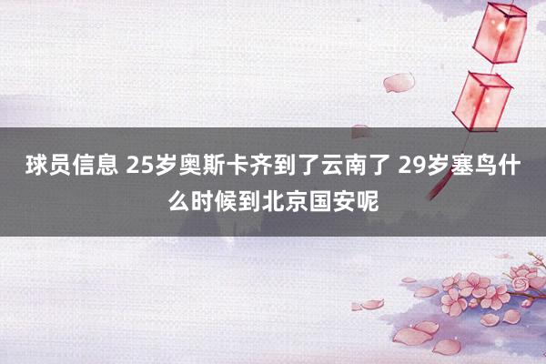 球员信息 25岁奥斯卡齐到了云南了 29岁塞鸟什么时候到北京国安呢