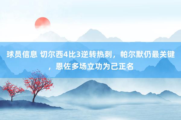 球员信息 切尔西4比3逆转热刺，帕尔默仍最关键，恩佐多场立功为己正名